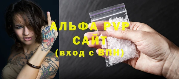 индика Зеленокумск