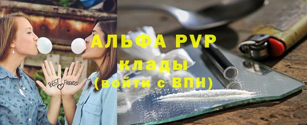 индика Зеленокумск