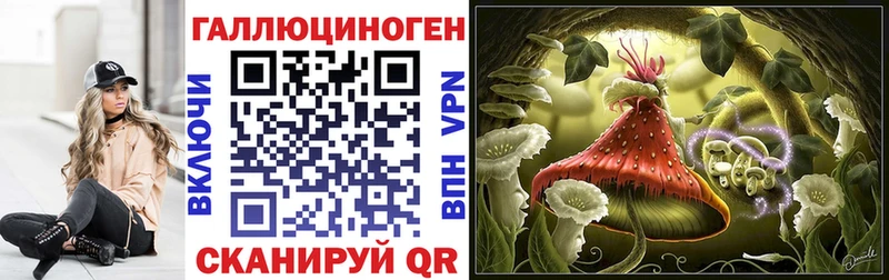 Псилоцибиновые грибы Psilocybe  Купить  Светогорск 